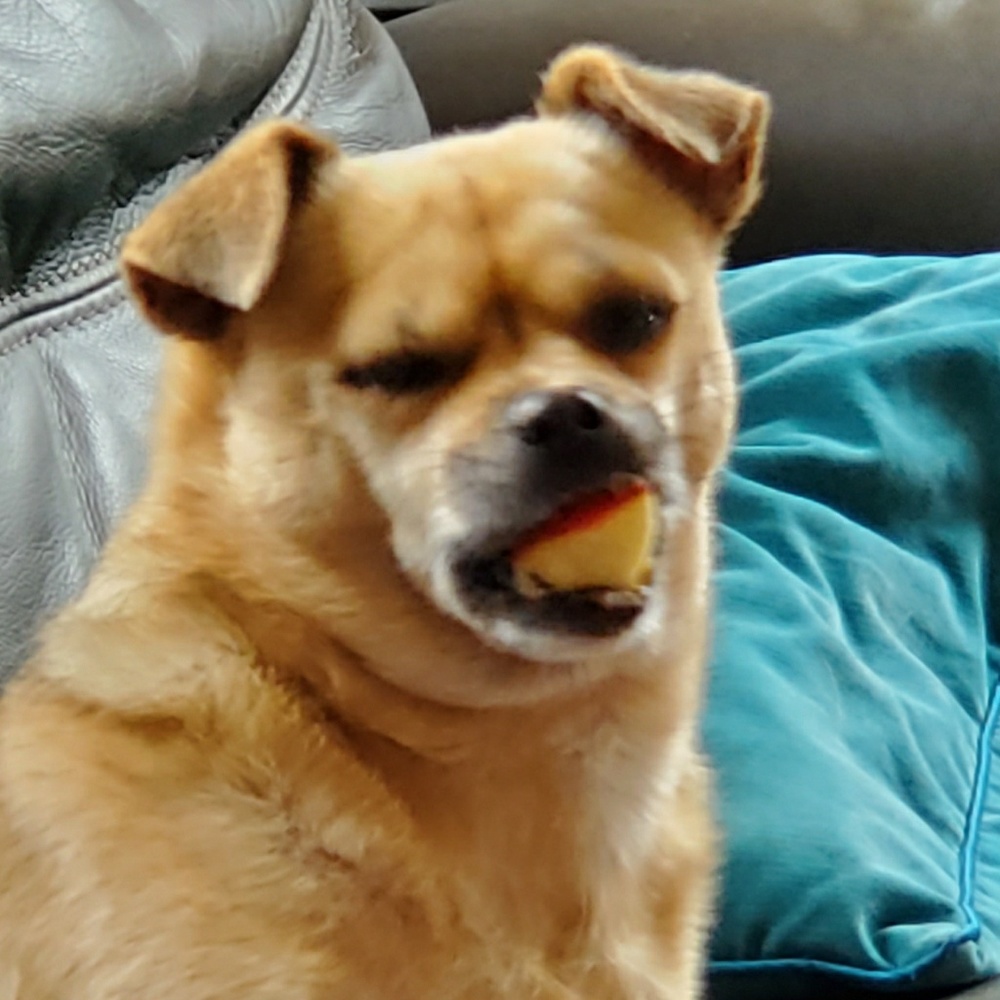 Meet your Posher, Saywah